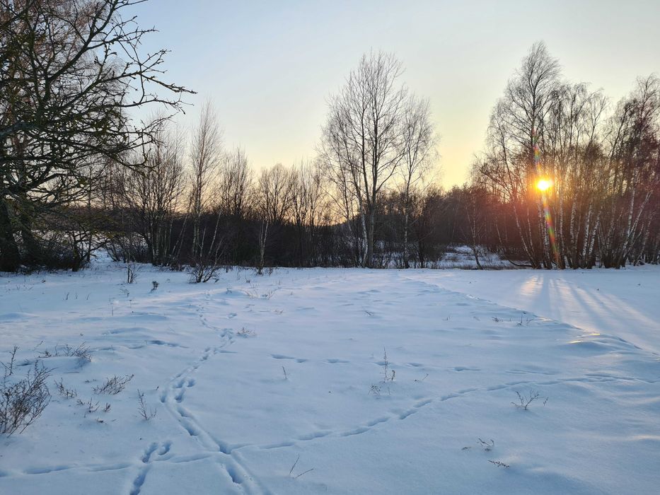 Sprzedam malowniczo położone siedlisko ze stawem