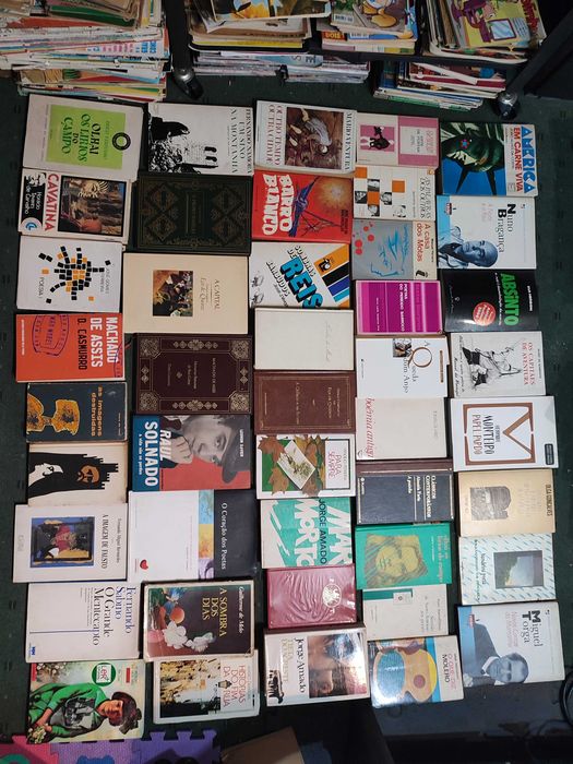 Grande Lote Literatura Autores Portugueses e Lusófonos - Cada 2 €