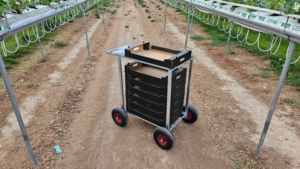 Wózek transportowy OCYNK tunel wózeczki do zbioru truskawki malin owoc