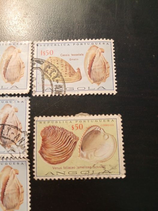 8 selos - Conchas de Angola 1974 - Carimbados. Em excelente estado