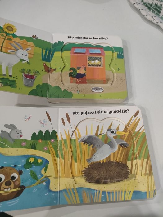 Co kryją okienka? Na wsi i w lesie