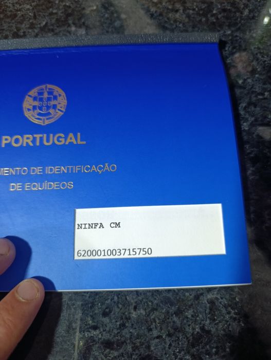 Para venda égua psl