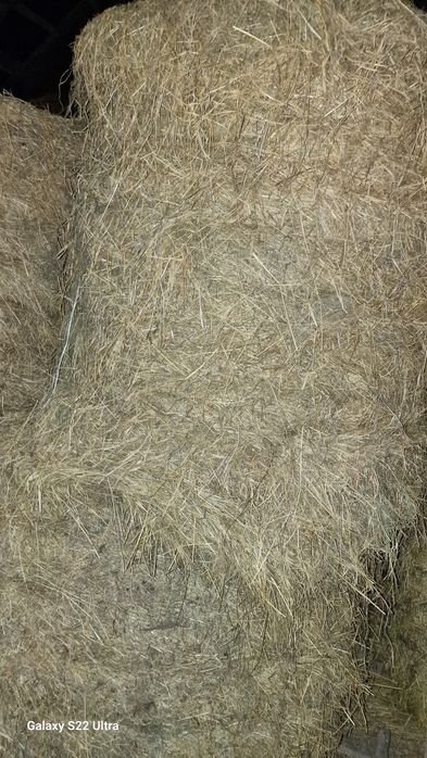 Sprzedam siano oraz sianokiszonke