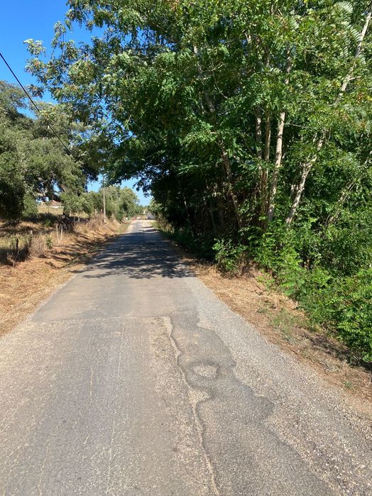 Vendo Quinta 7 hectares 3 Casas Litoral Alentejano