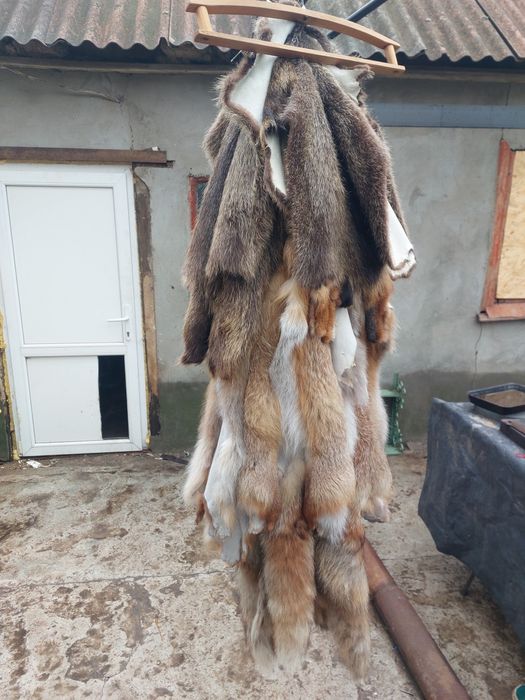 Шкура леса и натрия