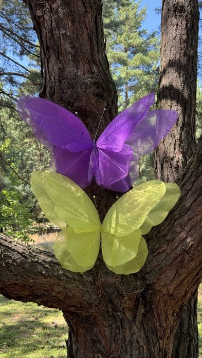 Метелики із органзи