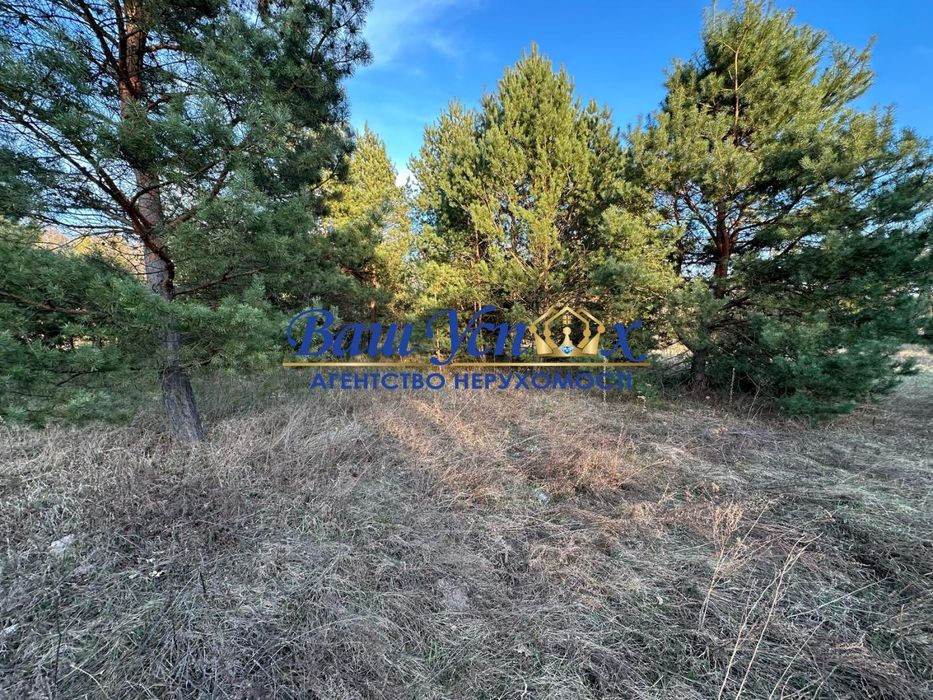 Продажа  участка земли в лесу в городке. село Круглик.