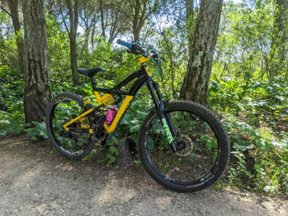 specialized enduro EVO