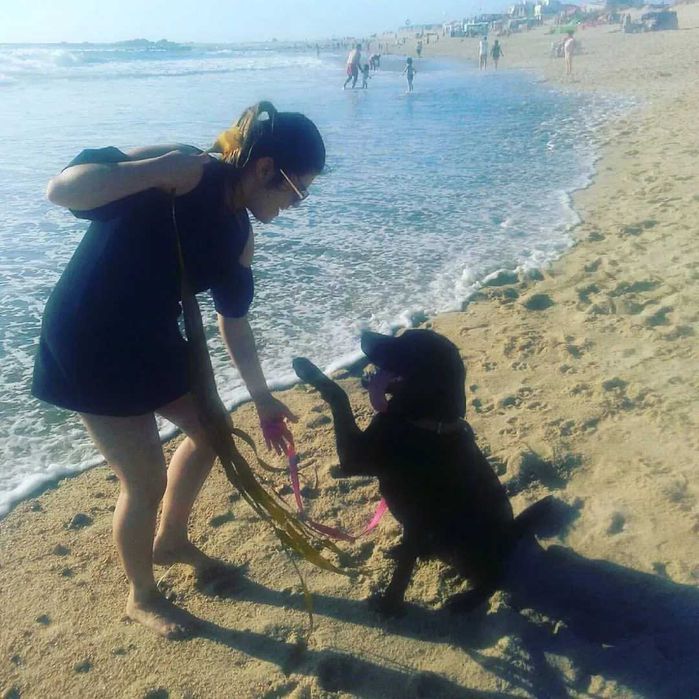Pet Sitting com a Diana
