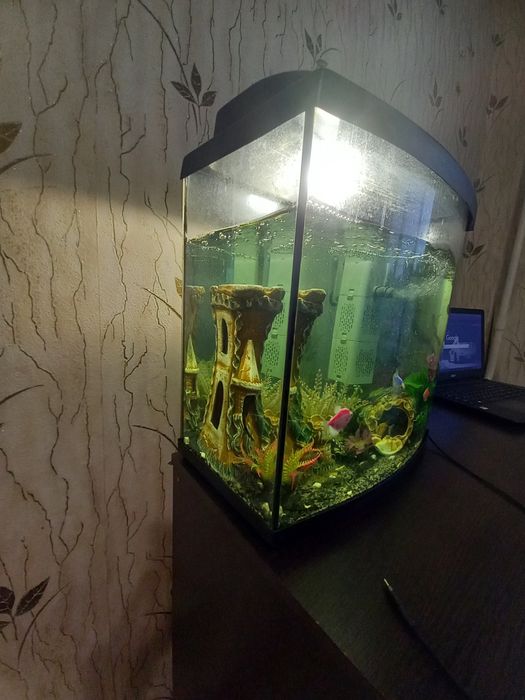 Продам аквариум с рибками
