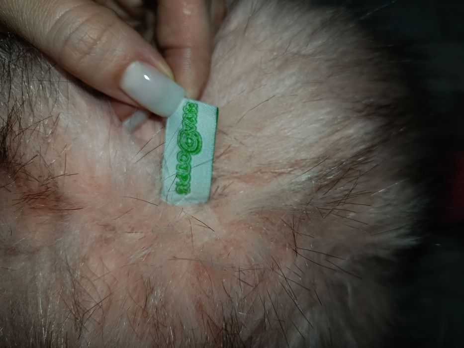 М'яка Іграшка JellyCat