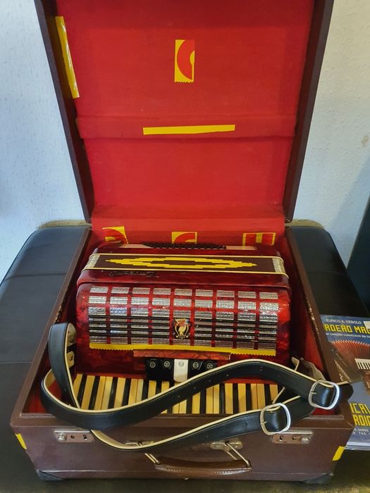 Acordeao Parrot- pouco usado