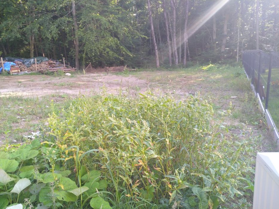 Sopieszyno Dzialka budowlana 6km do węzła Szemud