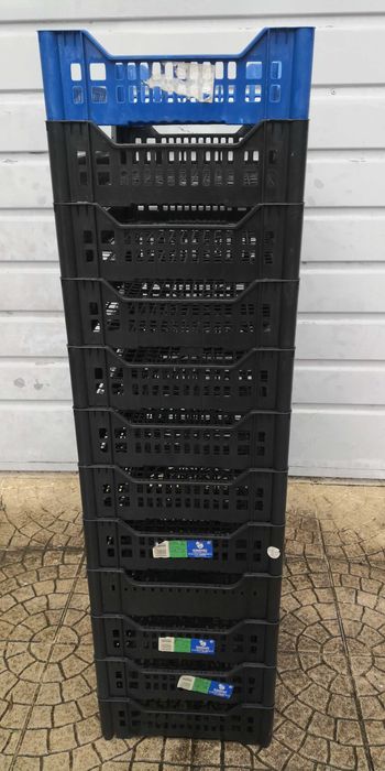 12 caixotes 50 X 29 X 9 cm