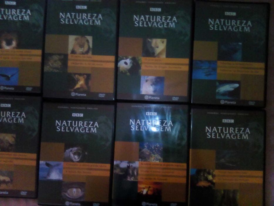 BBC Wild Nature64409304780033122