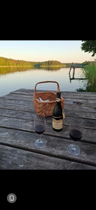 Przytulny drewniany domek + SAUNA nad jeziorem