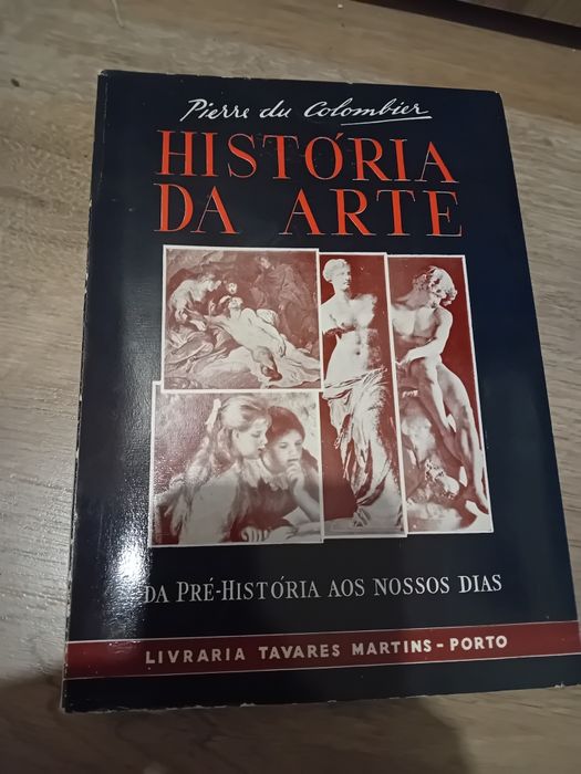 História da Arte - Pierre du Colombier