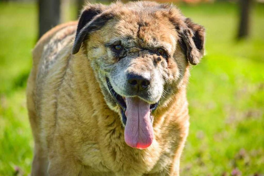 Ciekawska i pogodna Zosia