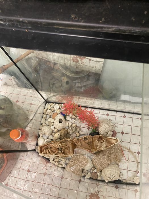 Акваріум 80 літрів