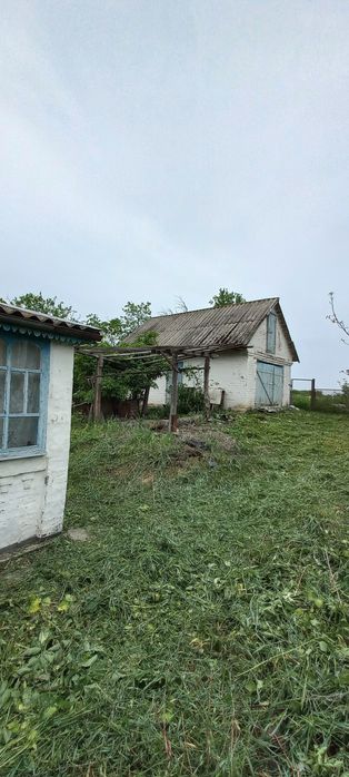 Продаж будинку с. П'ятигори, Київська обл.