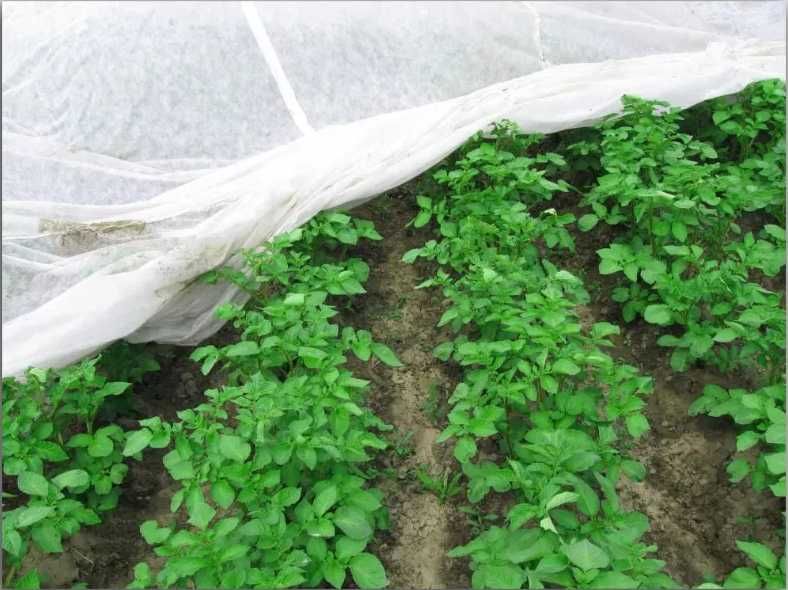 АГРОВОЛОКНО Укривне біле та чорне Мульча/Спанбонд/П-17 до П-50/Є ОПТ