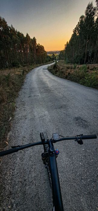 Specialized epic world cup expert