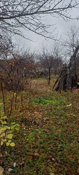 E S4 Продам дом с большим участком на Баварии