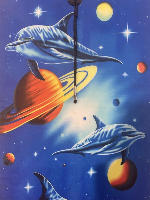 Prancha de bodyboard64752343197315121