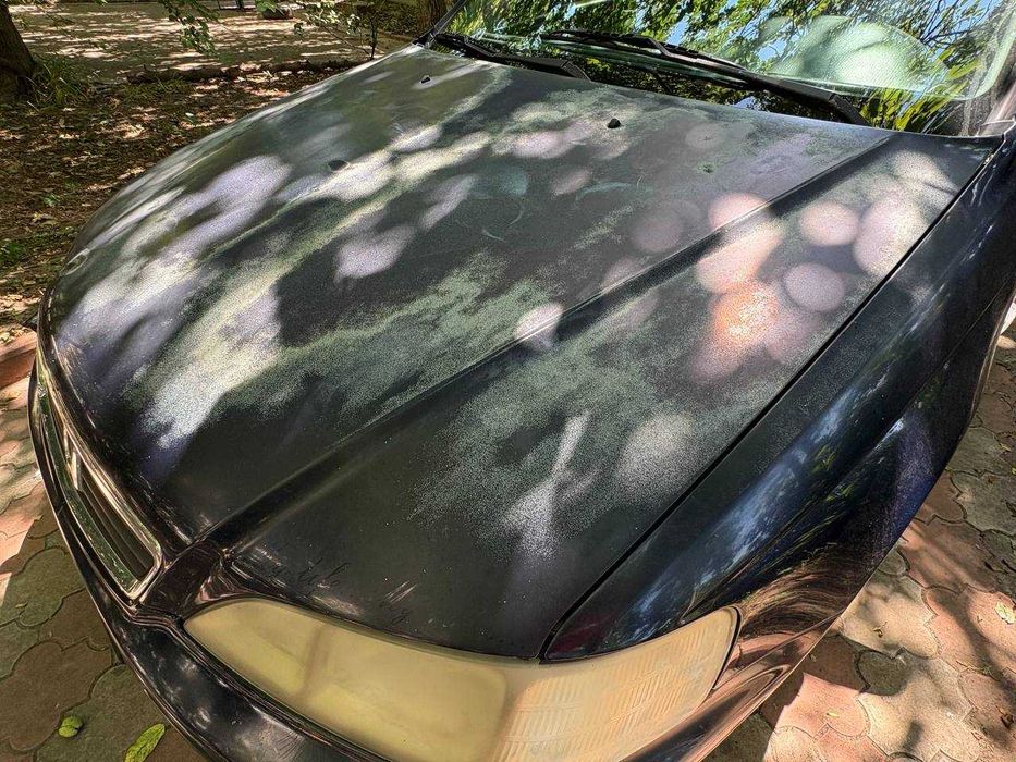 Продам Honda Accord