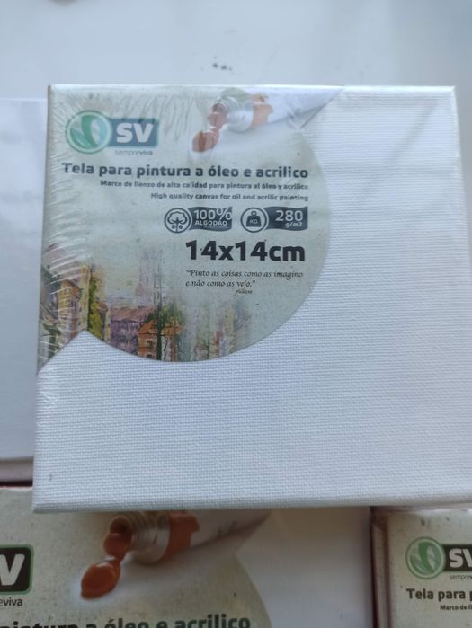 Telas pequenas, novas, para óleo e acrilico várias medidas 20x20