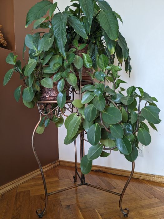 Підставка під вазони, вазон