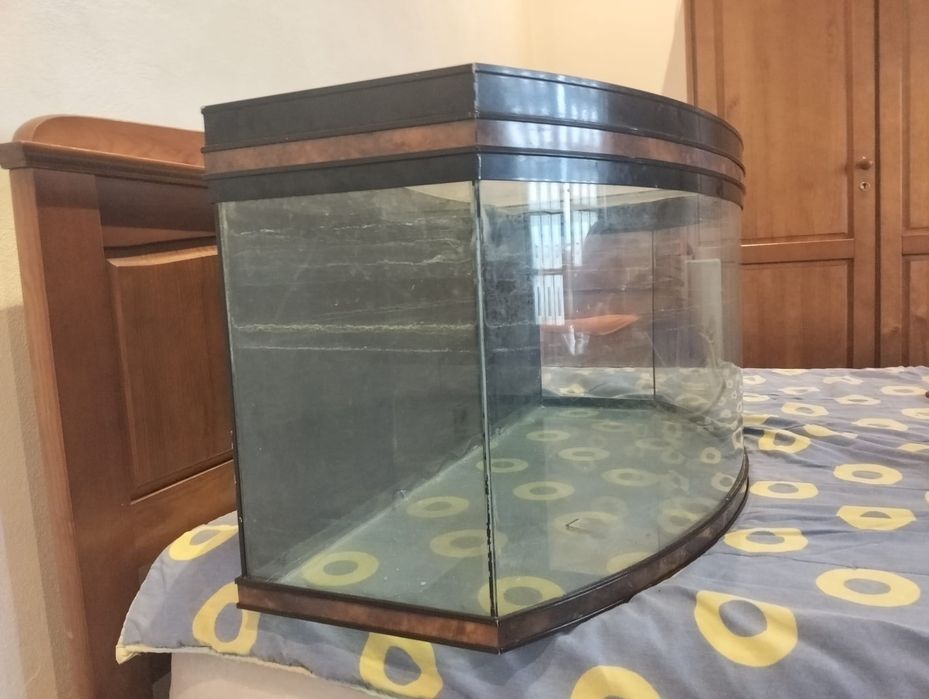 Aquário panorâmico