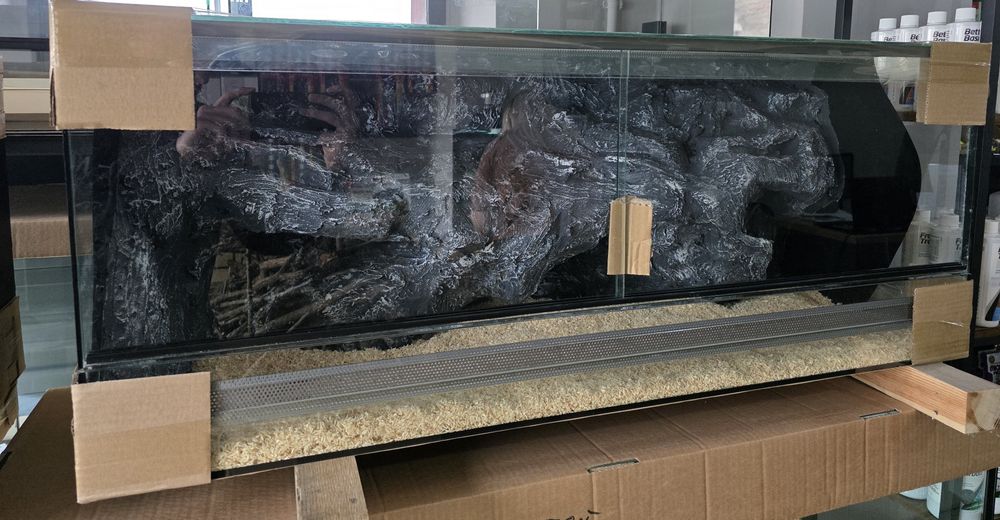 Terrarium z ścianką 3D