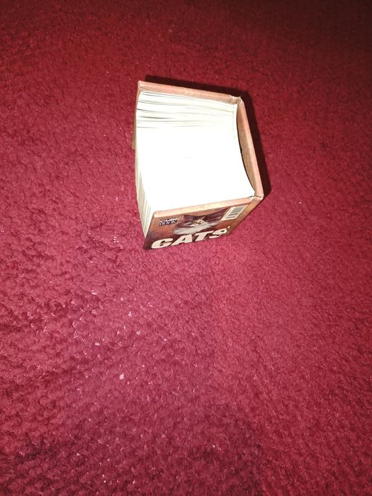 Livro miniatura sobre Gatos