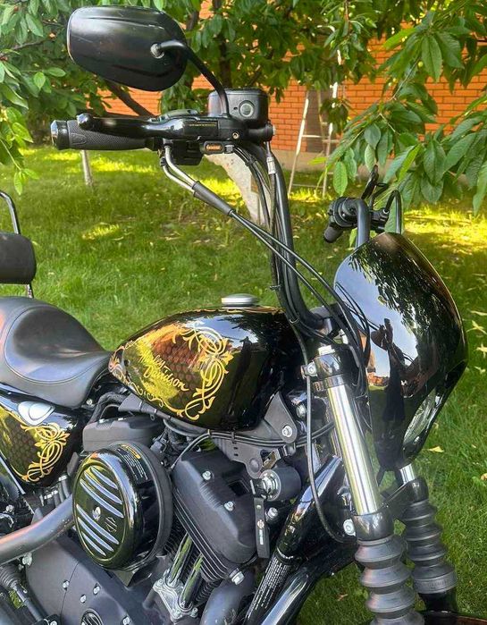 Harley-Davidson Sporster XL1200 Iron 2021 Аерографія