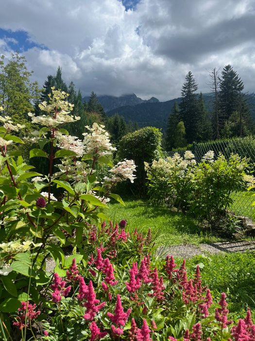 Mieszkanie trzy pokojowe Zakopane /Kościelisko