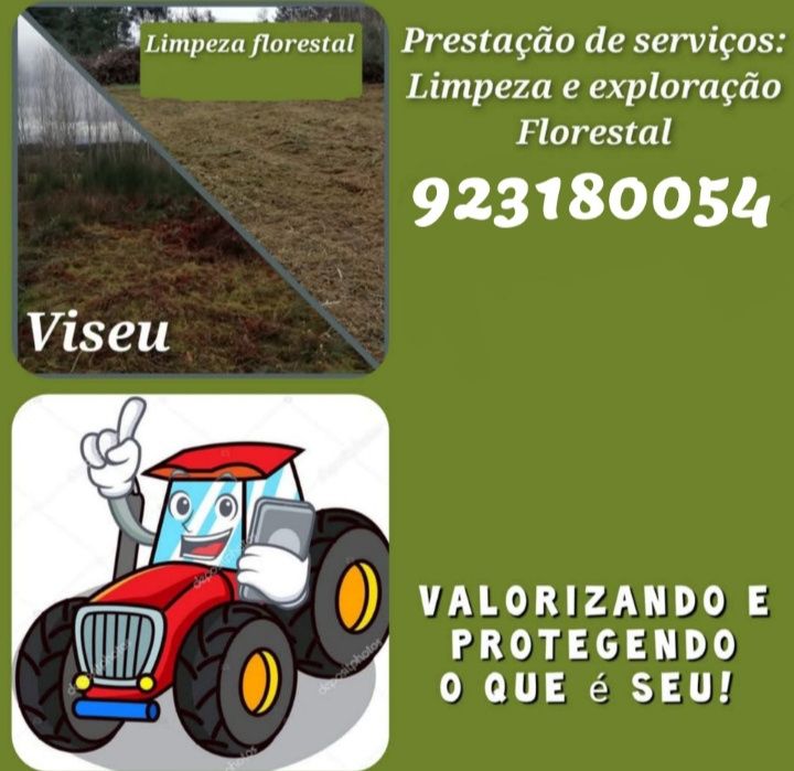 Limpeza Florestal