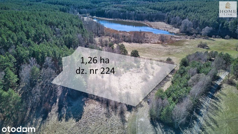 Twój dom w sercu natury - 250 M od Łyny