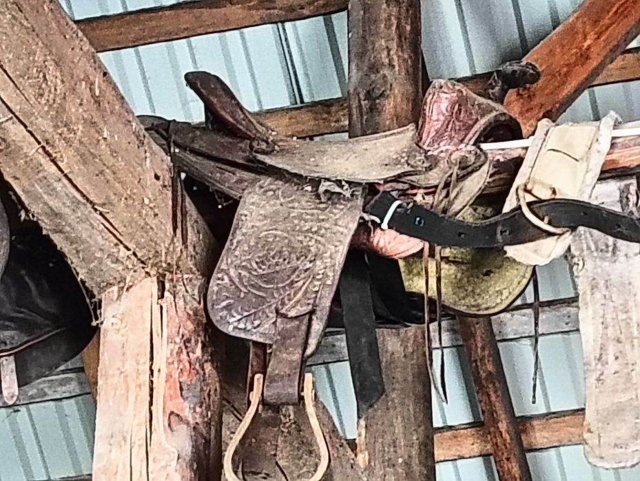 Siodlo konne 3 sztuki