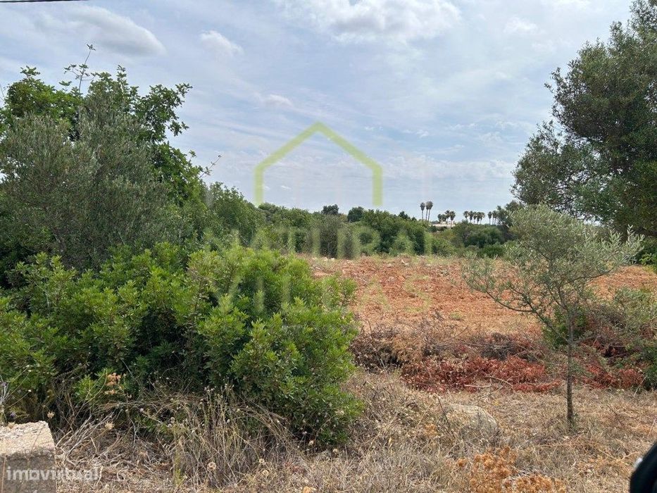 Terreno Rústico Plano com Vista Mar em Conceição