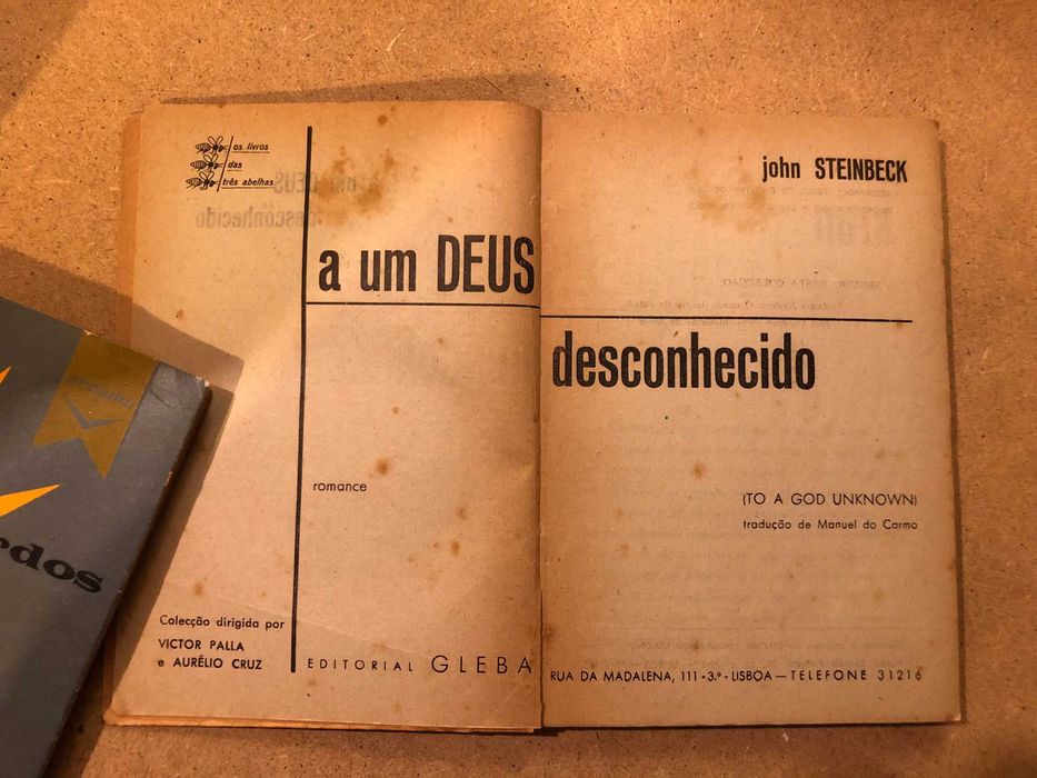 John Steinbeck - A Um Deus Desconhecido