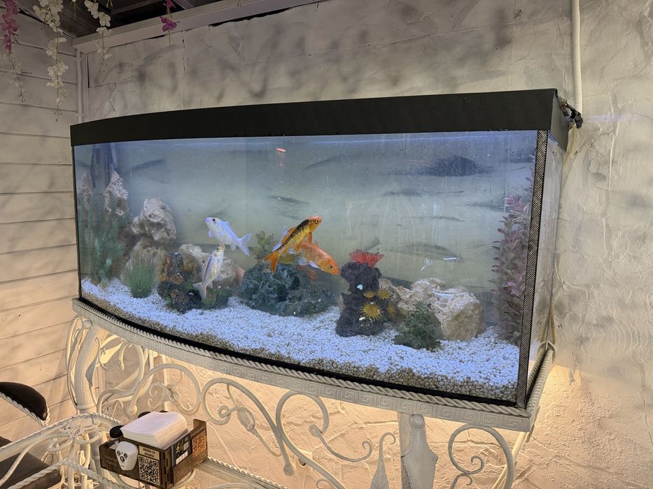 В продажі 2 шт акваріума