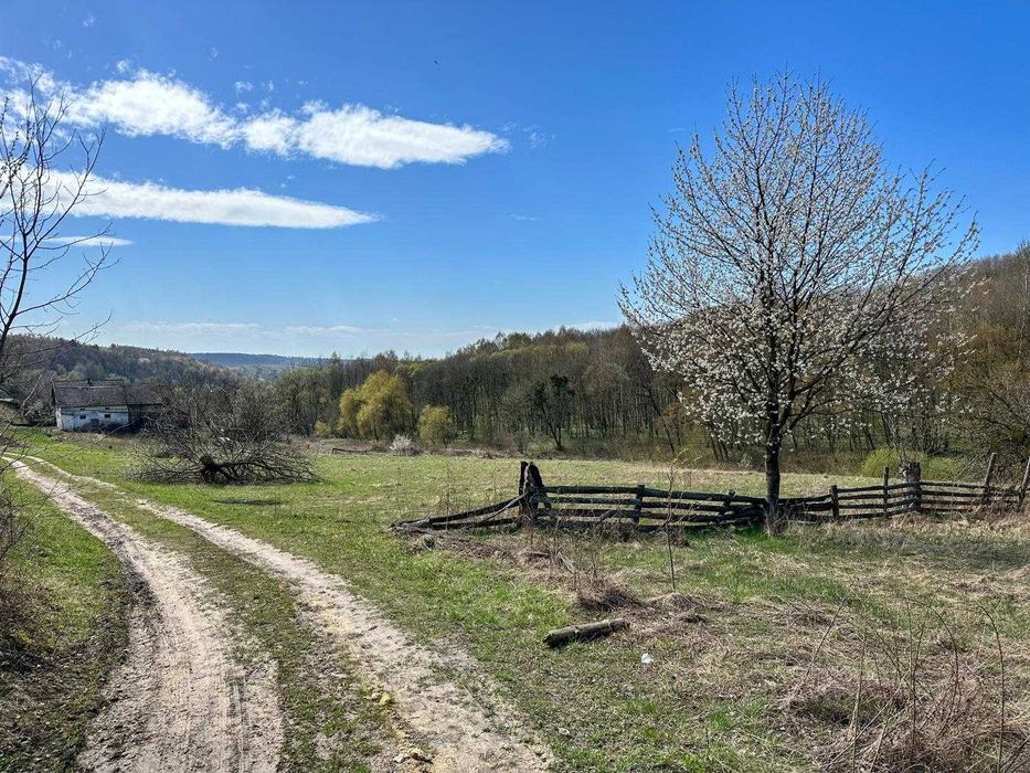 ПРОДАЖ ЗЕМЕЛЬНОЇ ДІЛЯНКИ 2 ГА /Бібрка / Стоки / Стрілки/ Львівська обл