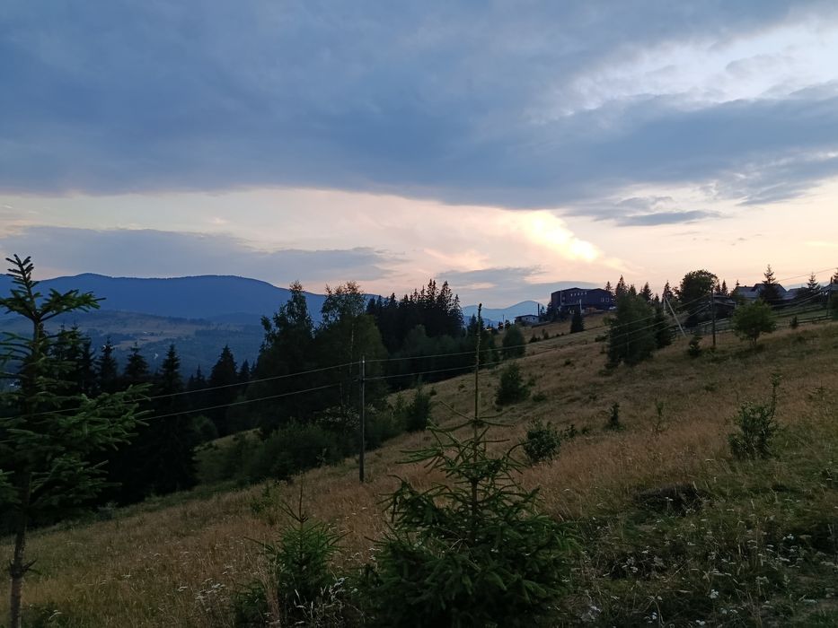земельна ділянка 25 сотин