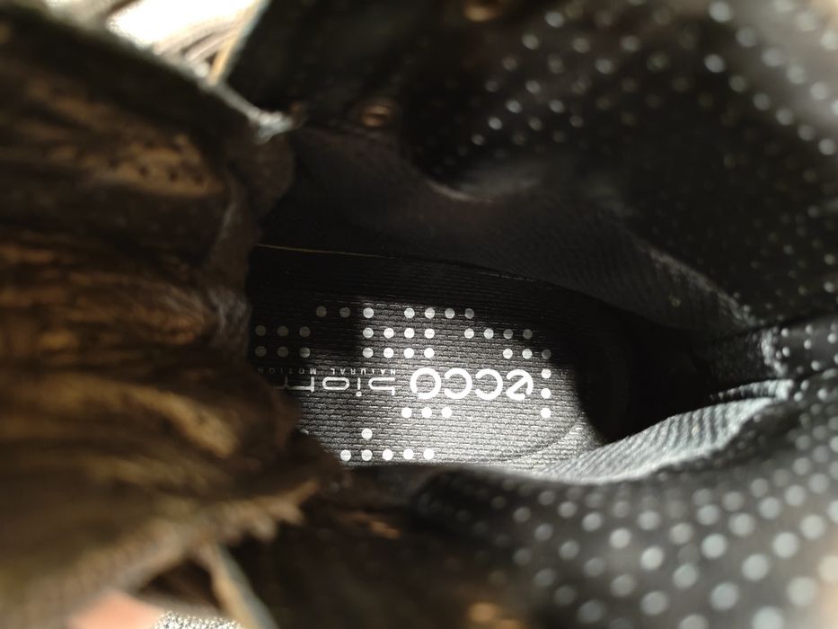 Ecco Biom Hike rozmiar 42