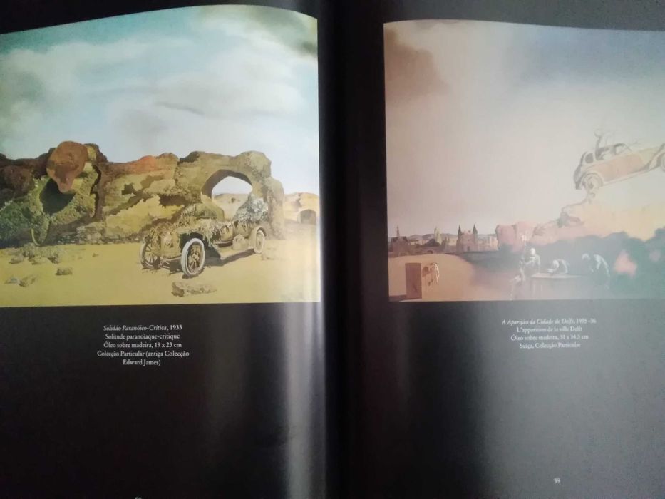 Livro Salvador Dali