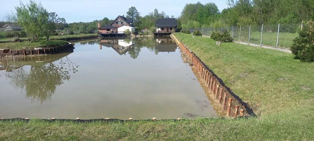 Faszynowanie stawu rzeki melioracje faszyna kołki kiszka faszynowa