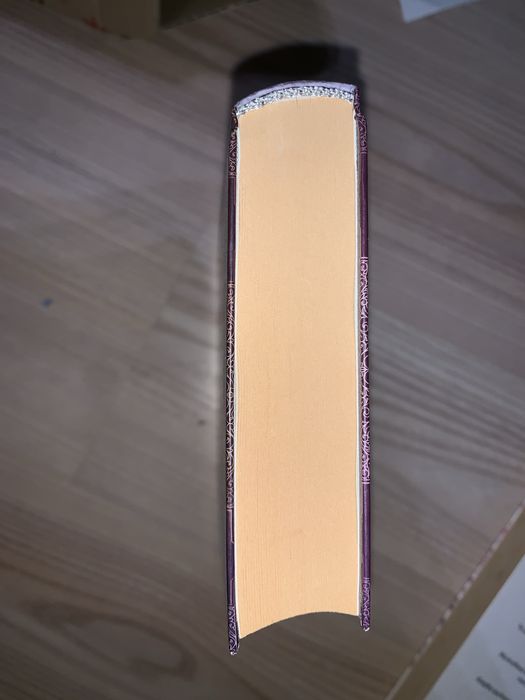 trudi canavan nowicjuszka cz.1