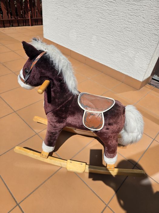 Konik na biegunach