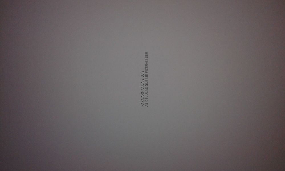 Livro Zoidismo de Fabiola Valença